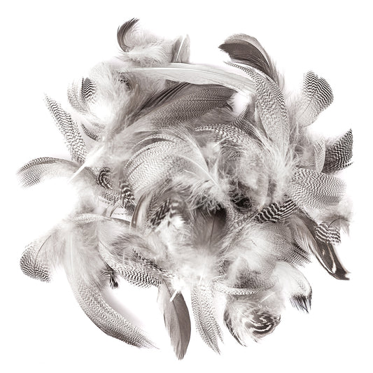 DpCraft duck feathers - 5-12 cm, 5 g